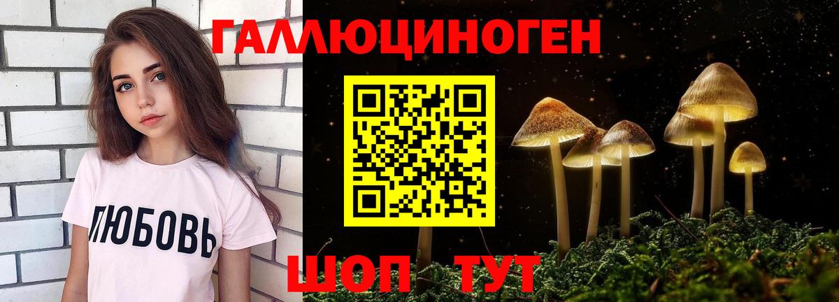Галлюциногенные грибы Cubensis  Псилоцибиновые грибы Psilocybine cubensis  Вход с VPN  Кохма 